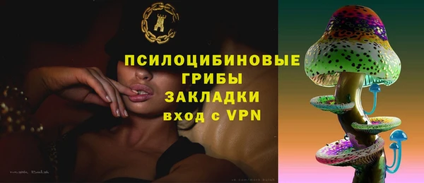 дживик Вязники