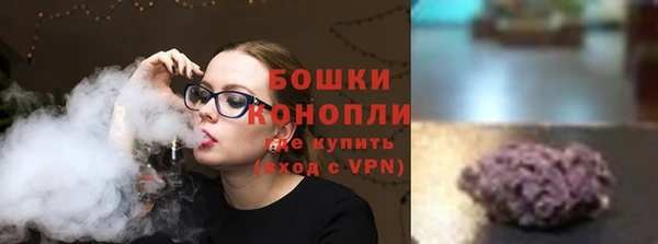 МДПВ Вяземский