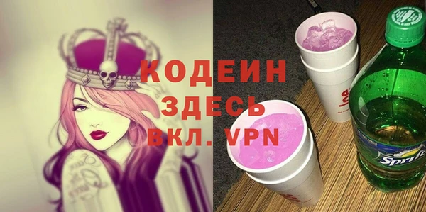 МДПВ Вяземский