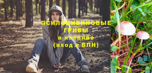 МДПВ Вяземский